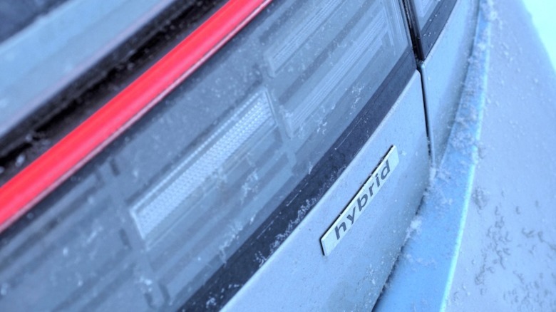 Snow-spackled Hybrid badge