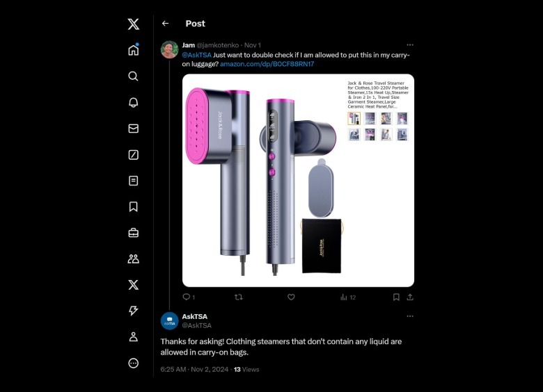 AskTSA on Twitter/X answer the author's question about bringing the steamer in a carry on