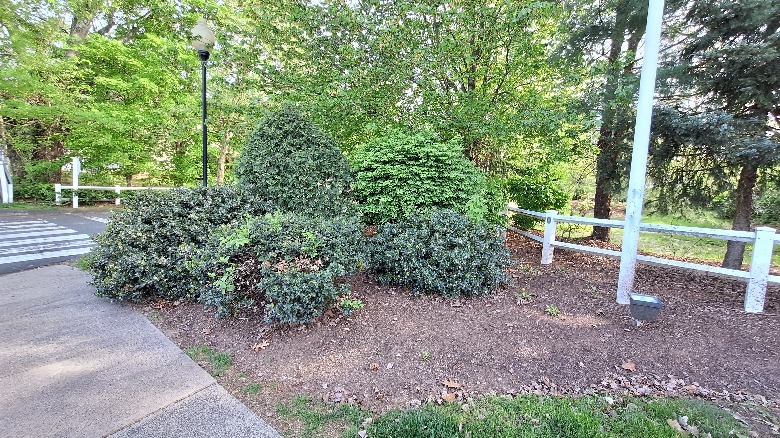 Ultrawide image of a white fence and bushes