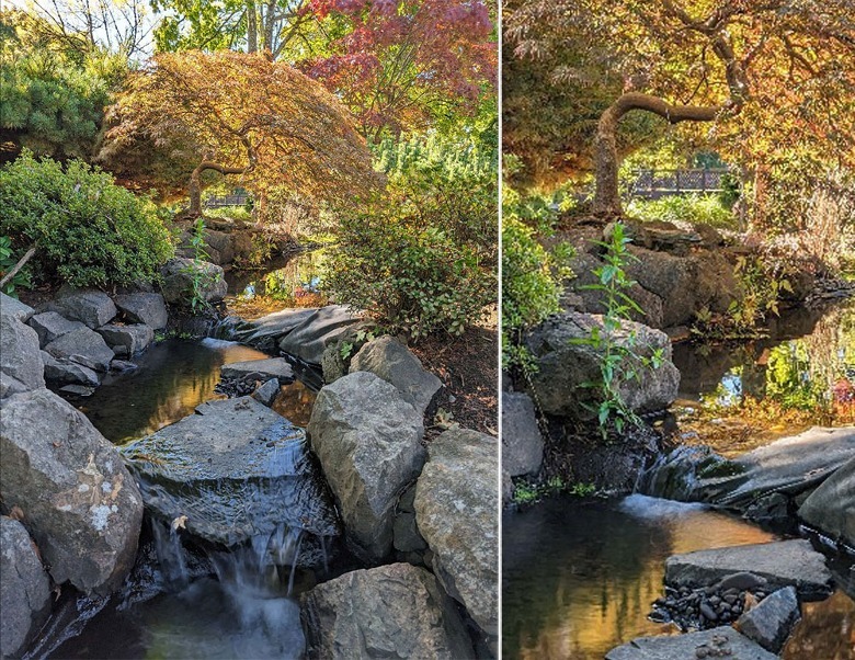 stream with rocks and trees
