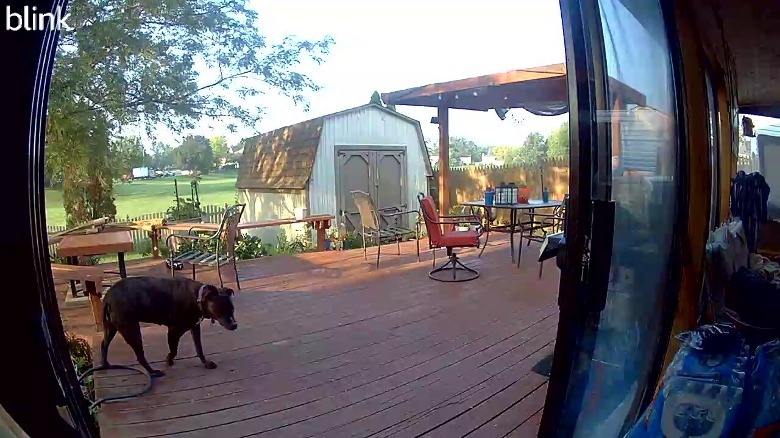 Blink Outdoor 4 daylight sample