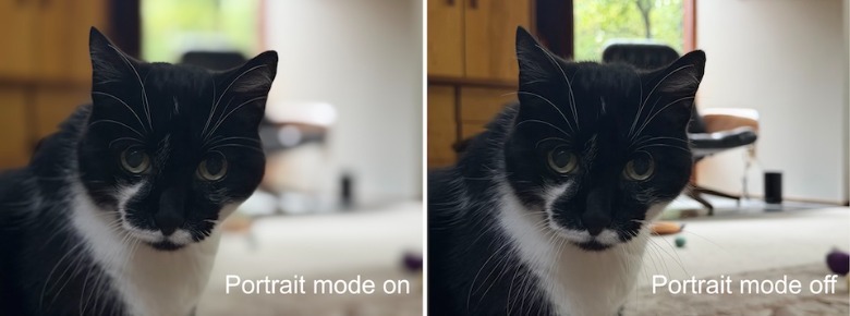 Portrait mode photo comparison from iPhone 17 Pro Max