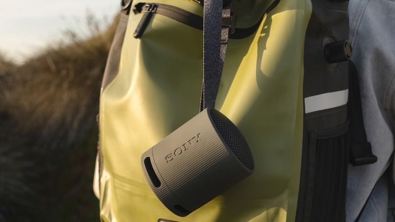 Sony speaker strapped to backpack
