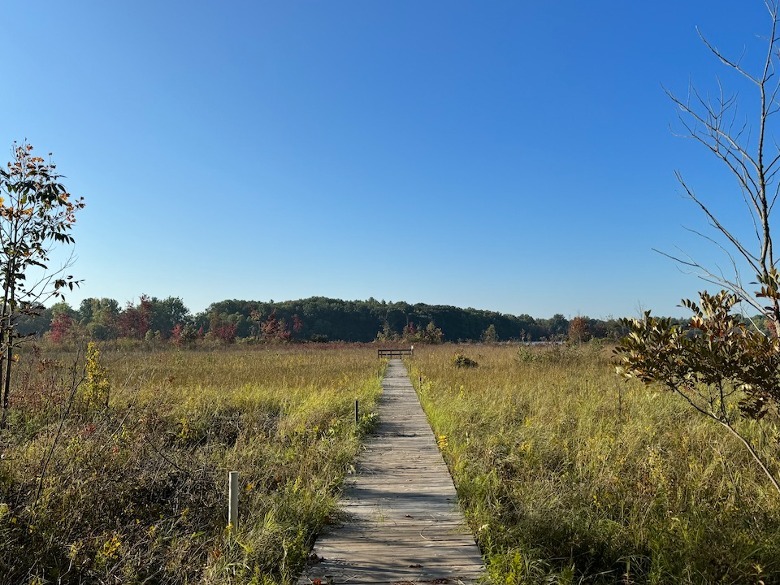 iPhone 15 Pro Max camera sample