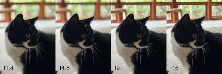 Portrait mode focal length samples