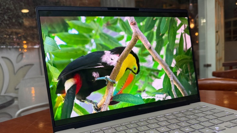 ASUS Zenbook A14 display with toucan image