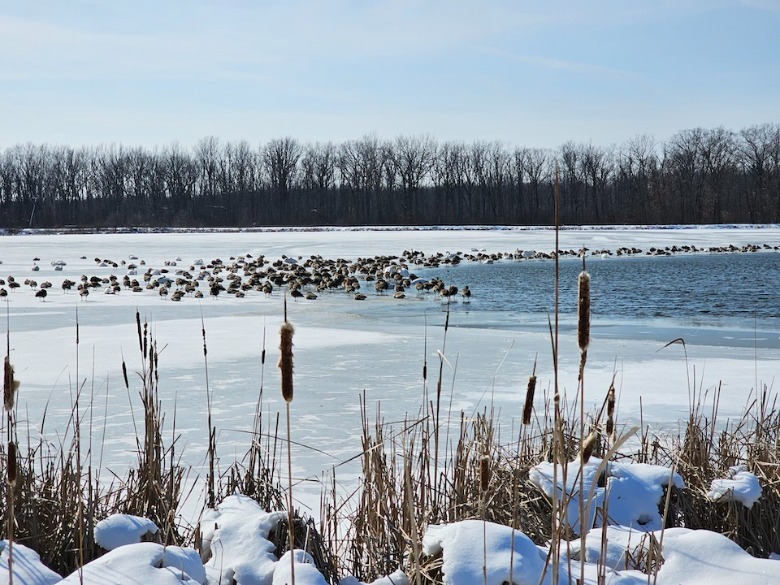 Galaxy S23 Ultra camera sample