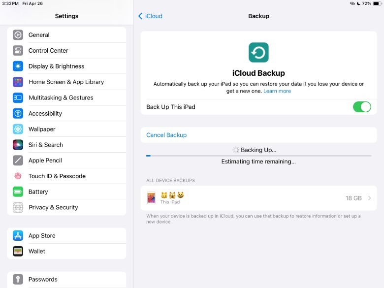 iPad Backup Settings screen